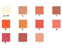 Swatches blush crème.webp