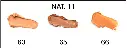 Nat. 11.webp