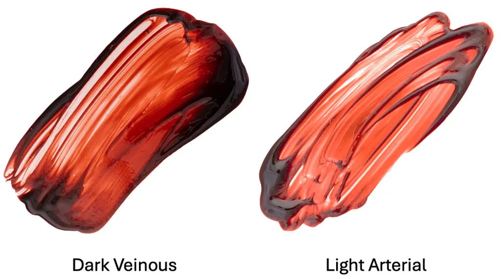 hd blood swatch.webp