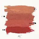 swatches 1.webp
