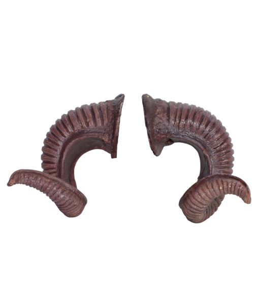 Ram Horns - PU Foam