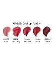 Pro Lip Color Palettes