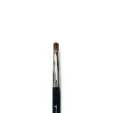 Brush 12