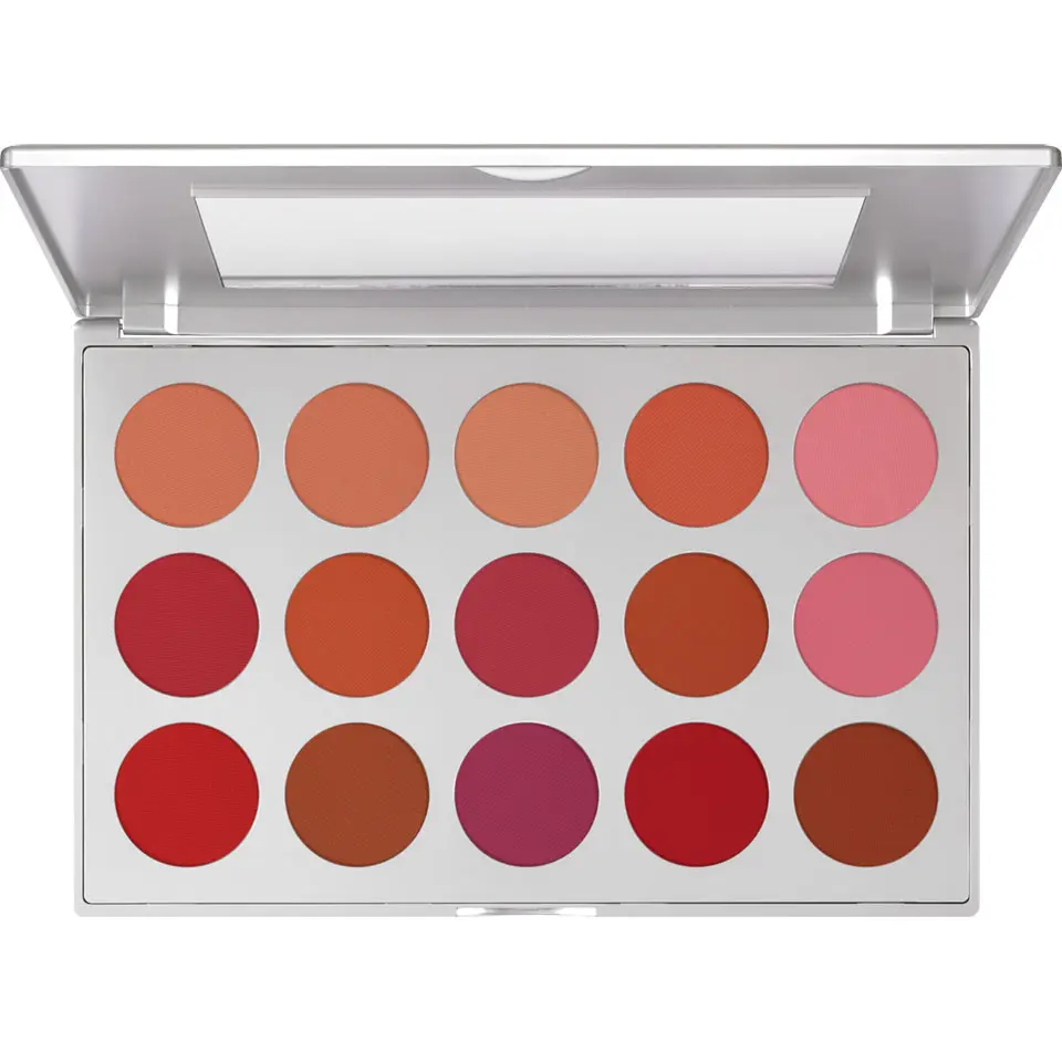[05115/00] Professional Blusher Set 15 couleurs