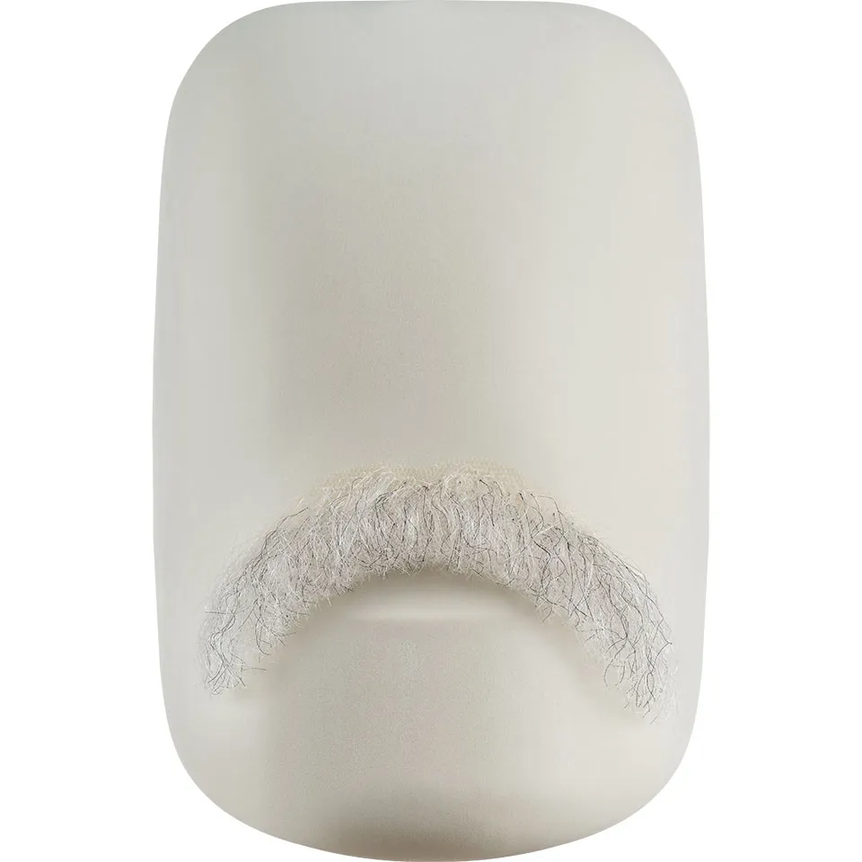 Moustache 14