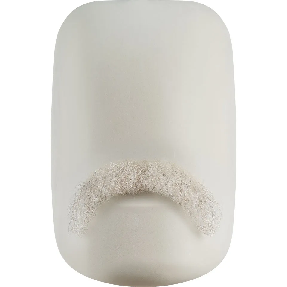 Moustache 14