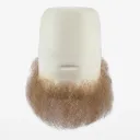Barbe Pleine 35