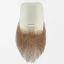 Barbe Pleine 37