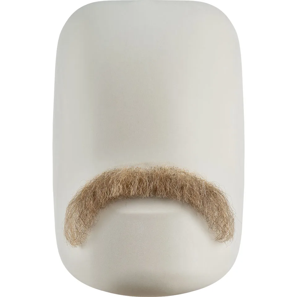 Moustache 14