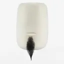 Goatee 31