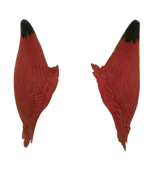 [3D-LR-H2R] Cornes moyennes - Latex (Red)
