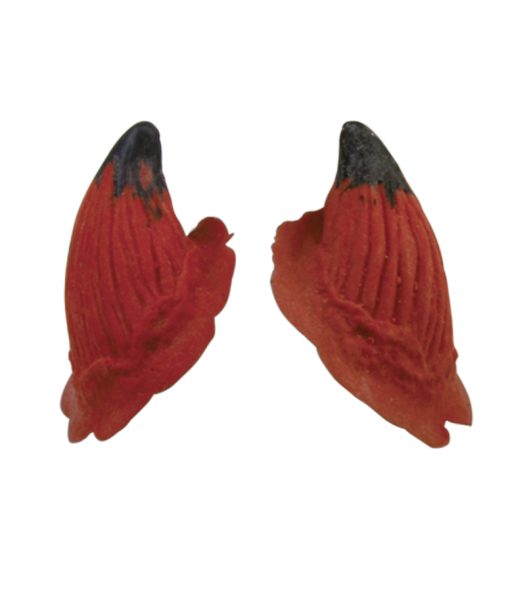 [3D-LR-H1R] Horns Small - Latex (Red)