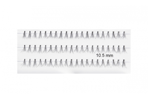 [CILS11] Les cils 11