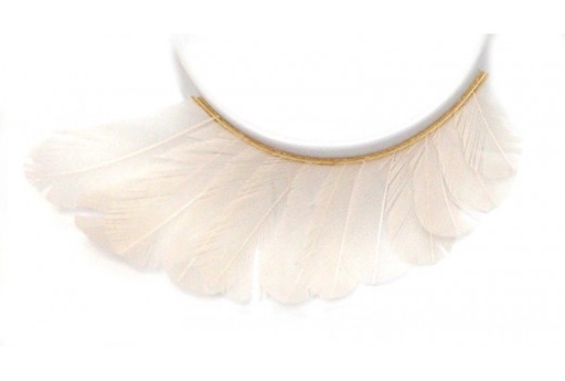 [CILS109] Les cils 109