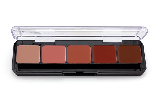 Pro Lip Color Palettes