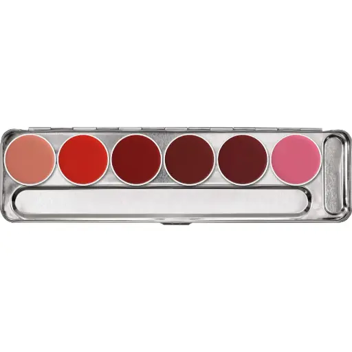 Palette Lip Rouge 12 couleurs